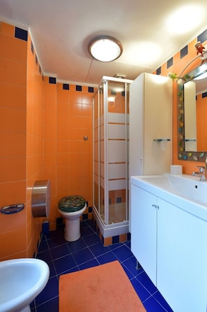 Shower, hair dryer, bidet, towels
