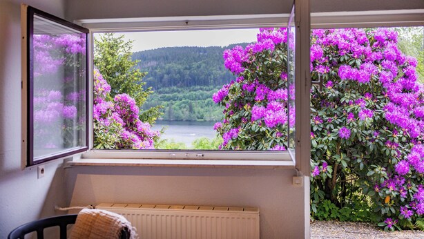 A room with a window overlooking a lush garden with vibrant purple flowers and a view of a forested hillside. - Titisee Haus an der Sonne by Kuckucksnester (Hinterzarten)