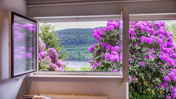 Apartment | Blick auf den See