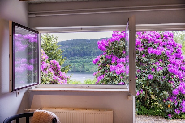 Apartamento | Vistas al lago