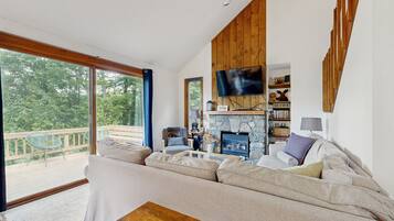 TV, fireplace, books