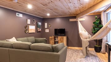 Televisión, chimenea y libros