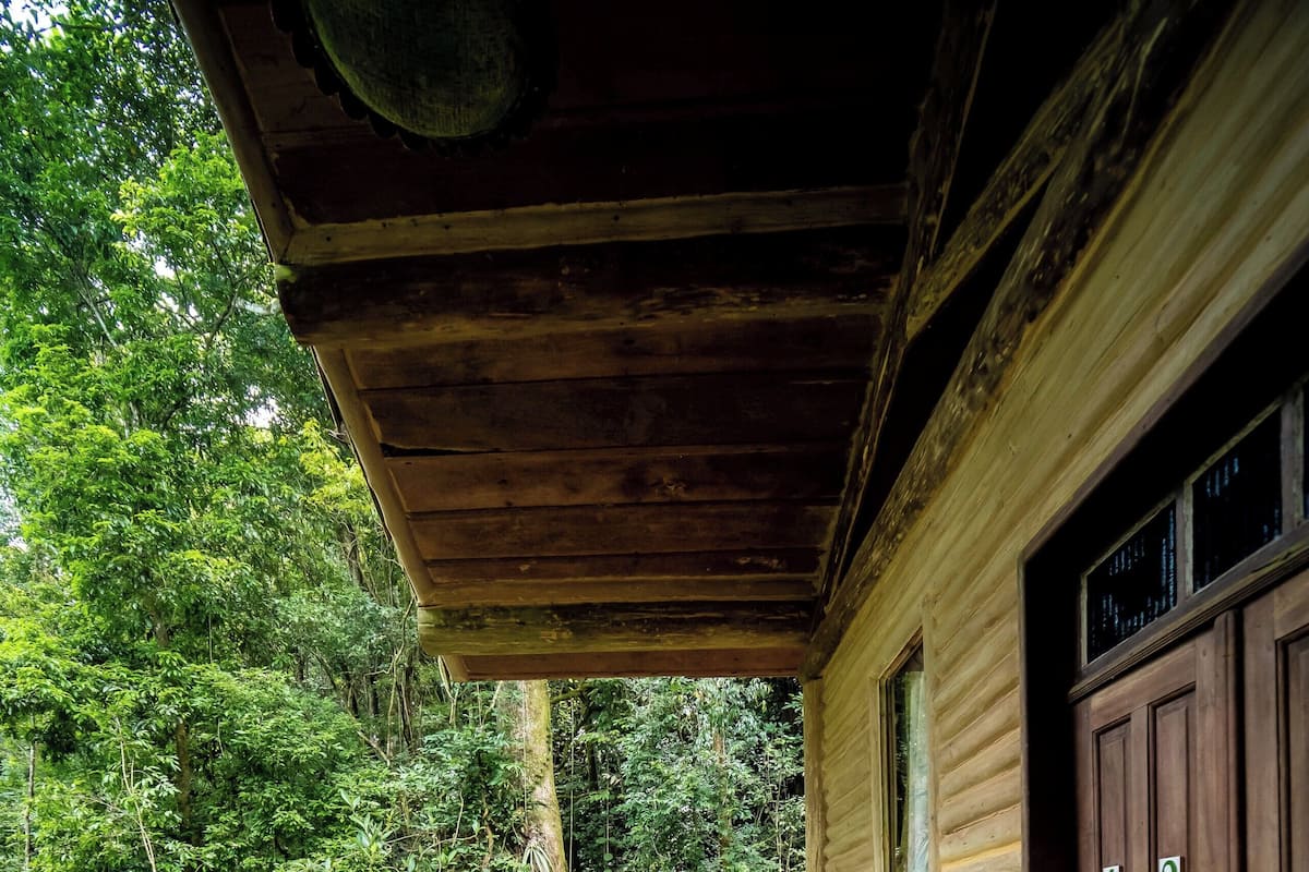 Une terrasse en bois avec un banc et deux fauteuils en osier, entourée d’une végétation luxuriante.