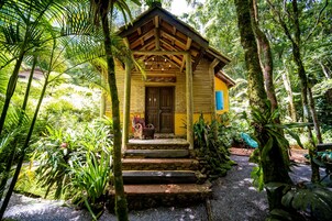 Cabin | 1 bedroom, minibar, in-room safe, desk