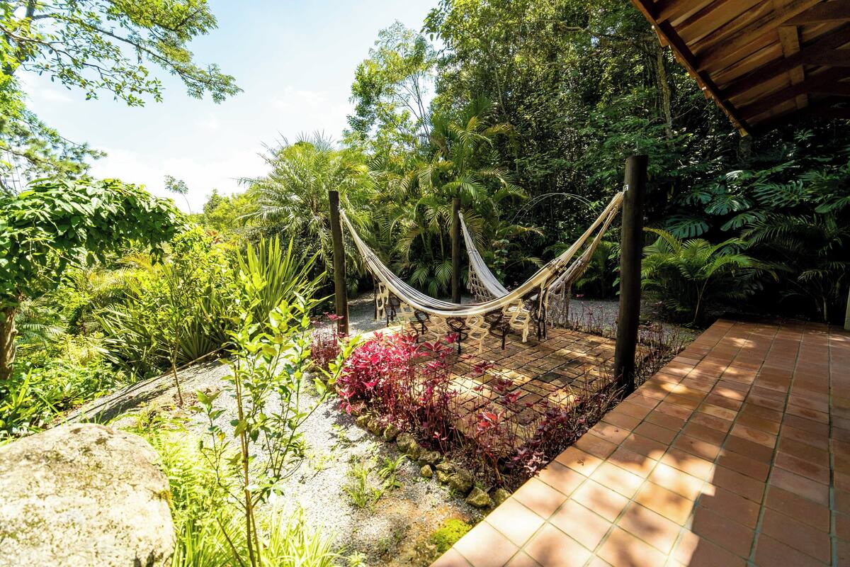 Un hamac dans un jardin luxuriant, avec un chemin bordé de dalles et une végétation dense.