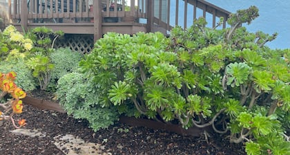 Seaside Family House - Sleeps 6 on Monterey Peninsula