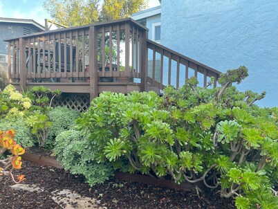 Seaside Family House - Sleeps 6 on Monterey Peninsula