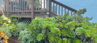 Seaside Family House - Sleeps 6 on Monterey Peninsula