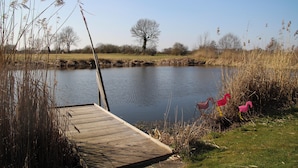 A wooden dock extending into a calm lake, surrounded by tall reeds and a few trees in the background. - Ferienhaus am See (Kirchlinteln)
