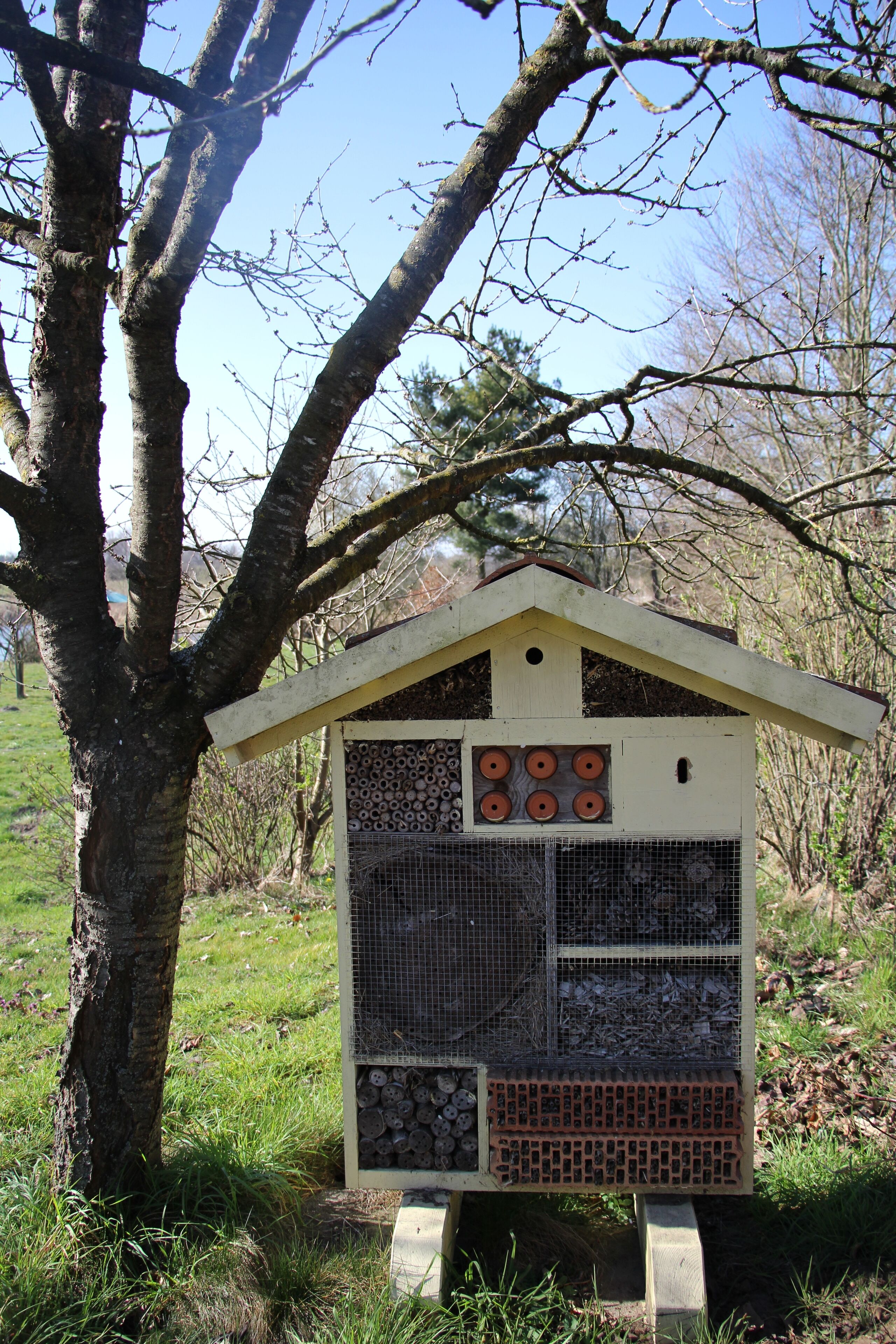A wooden birdhouse with a sloped roof and a wire mesh entrance, situated on a grassy area with trees in the background.