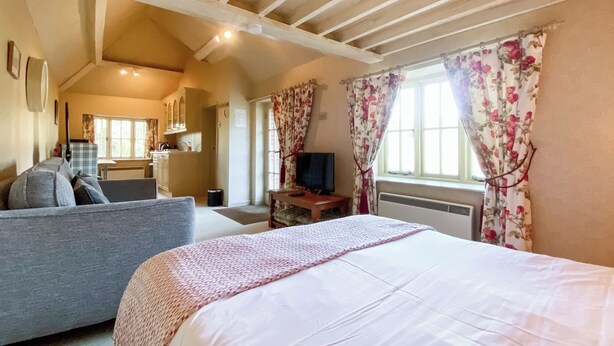 Een slaapkamer met een bed, een slaapbank, een televisie, een raam met gordijnen, en een keuken in de achtergrond.