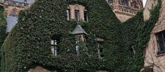 The World Appartment