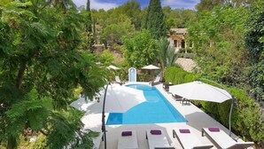 Ein Swimmingpool mit Liegestühlen und Sonnenschirmen, umgeben von üppiger Vegetation und hohen Bäumen.
