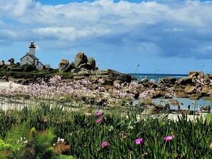 Nära stranden och solstolar