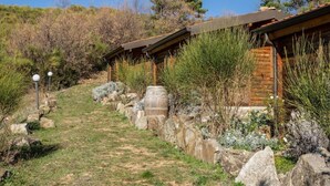 A rustic lodge with a stone pathway leading to wooden cabins, surrounded by natural vegetation and rocks. - Agriturismo nel cuore del Pollino - Matrimoniale (Plataci)