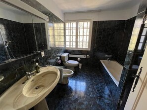 Shower, hair dryer, bidet, towels