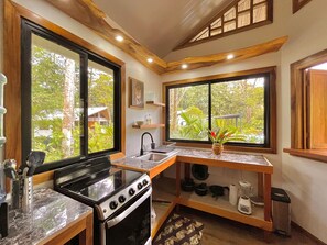 Private kitchen - Villa Ocean Coral Luxury Beachfront Villa just steps away from the beach! (Punta Uva)