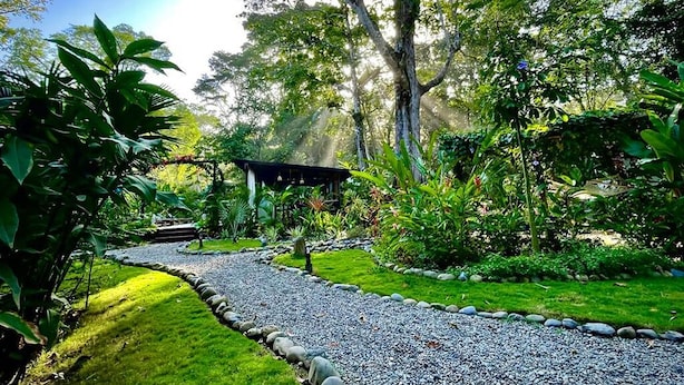 Un sentier de jardin menant à un belvédère, entouré d’une végétation luxuriante et d’arbres.