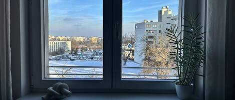 Deluxe Apartment | View from room