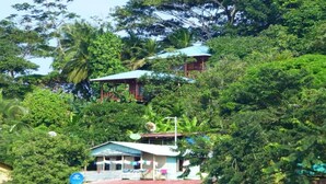 Una casa rodeada de densa vegetación tropical, con un porche visible y una pequeña edificación.