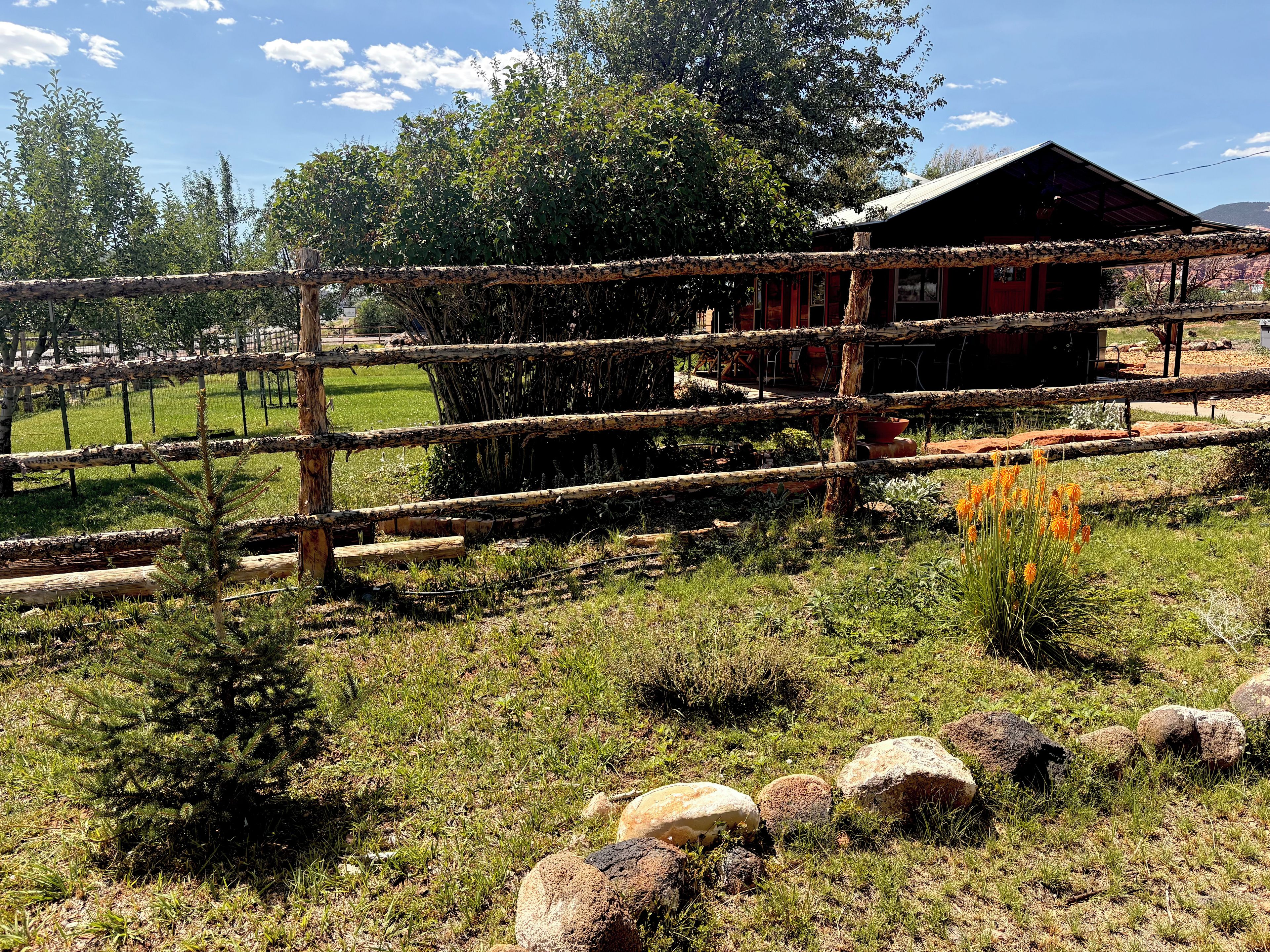A rustic wooden fence, a small tree, and a building with a red door.