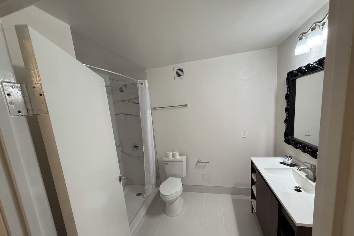Un baño con ducha, inodoro, lavabo y espejo.