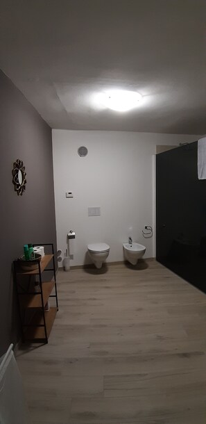 Shower, hair dryer, bidet, towels