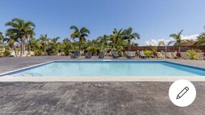 Une piscine avec des chaises longues et des palmiers.