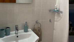 Shower, hair dryer, bidet, towels