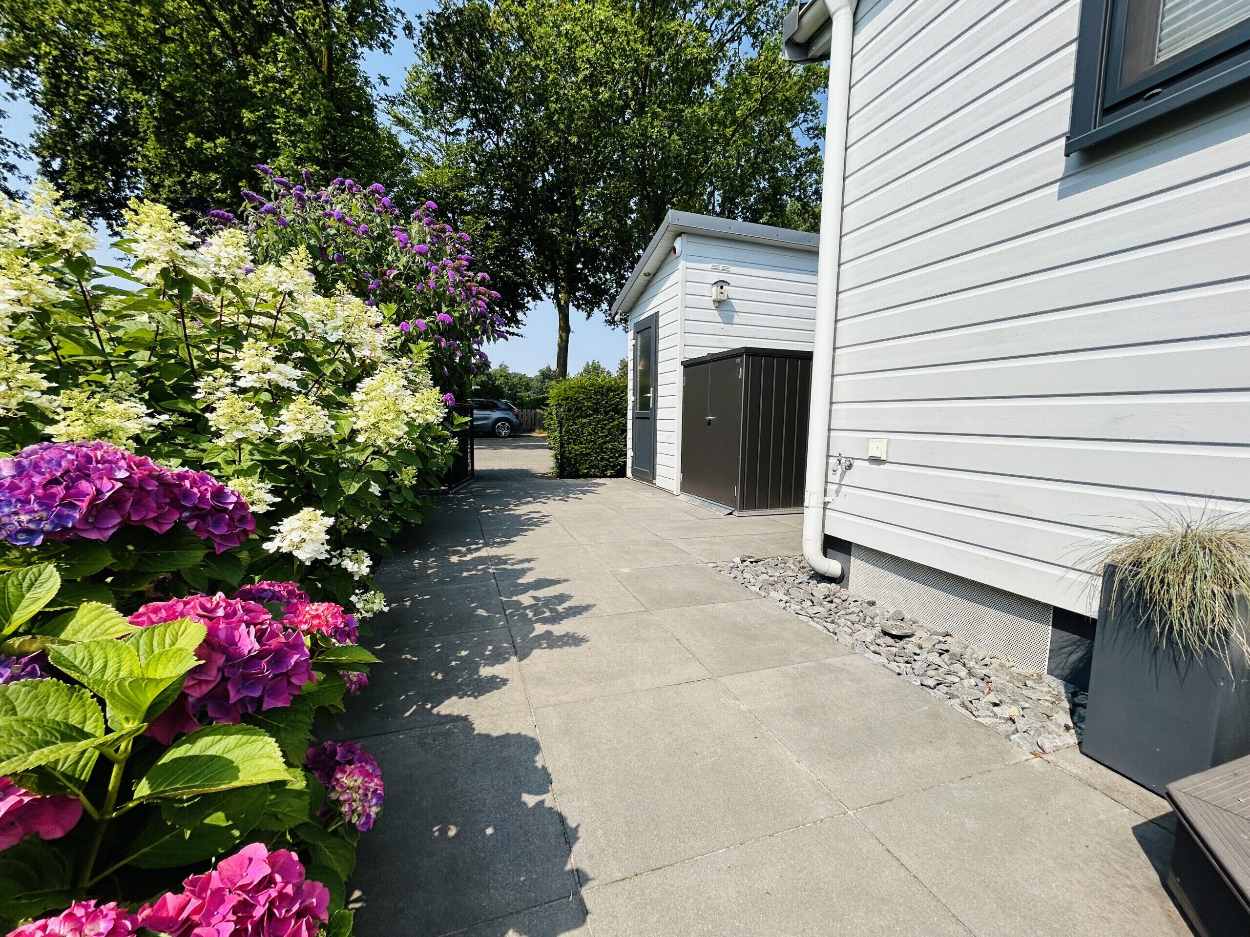 A residential driveway with a concrete path leading to a garage, surrounded by lush greenery and flowering plants.