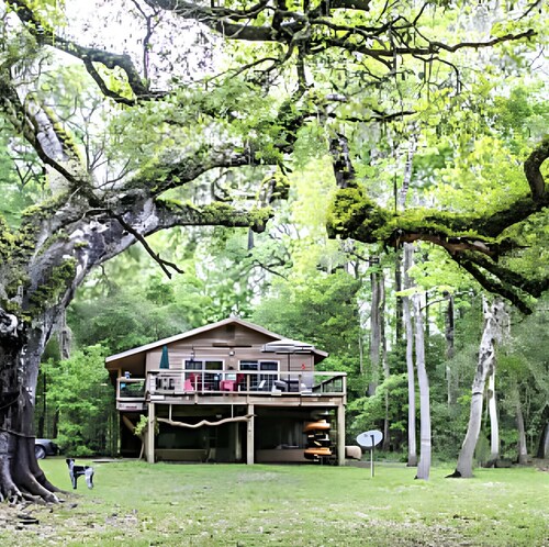 The Confluence Cabin: Float the Ichetucknee for free right to our dock