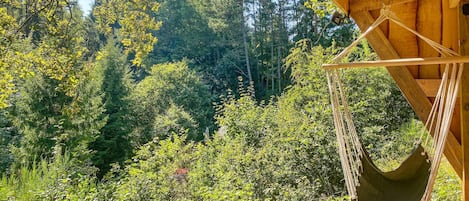 Terrain de l’hébergement