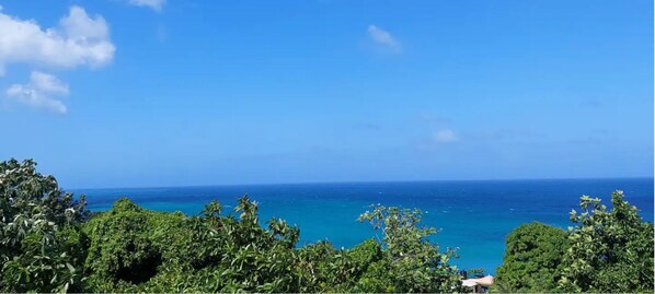 Vue sur la plage/l’océan