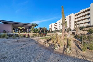 Property grounds - Relaxing Ocean View Condo 5 mins from Downtown Cabo (Cabo San Lucas)
