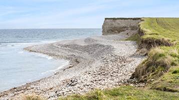 Tæt på stranden, fiskeri