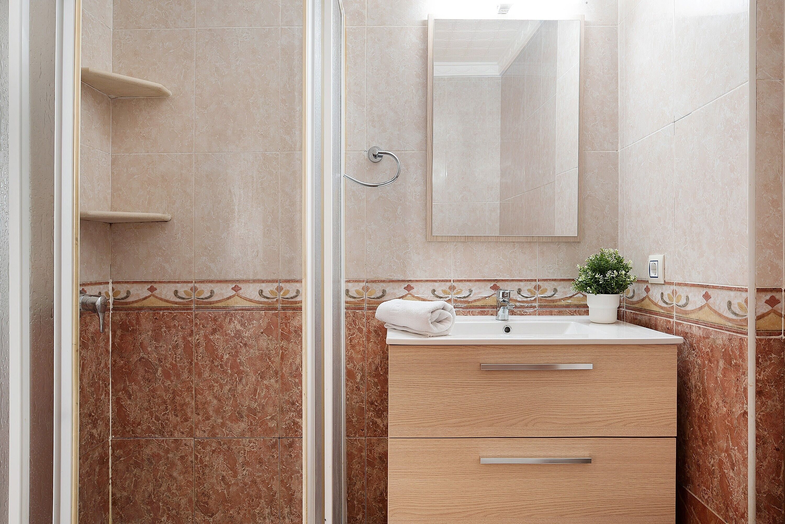 Une salle de bain avec une douche à parois de verre, un lavabo avec un miroir et une plante en pot.