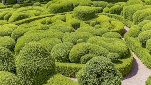 Un jardin aménagé avec le plus grand soin, présentant des formes géométriques taillées dans les arbres et un chemin de gravier.