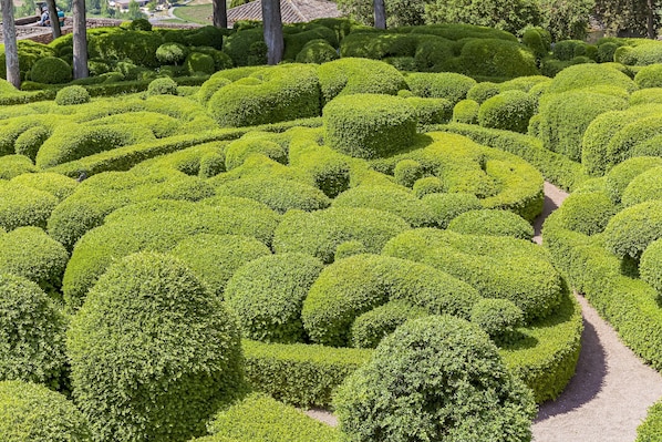 A meticulously landscaped garden with geometric topiary shapes and a gravel path.