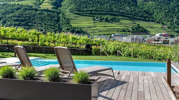 A pool area with lounge chairs and a view of a vineyard.