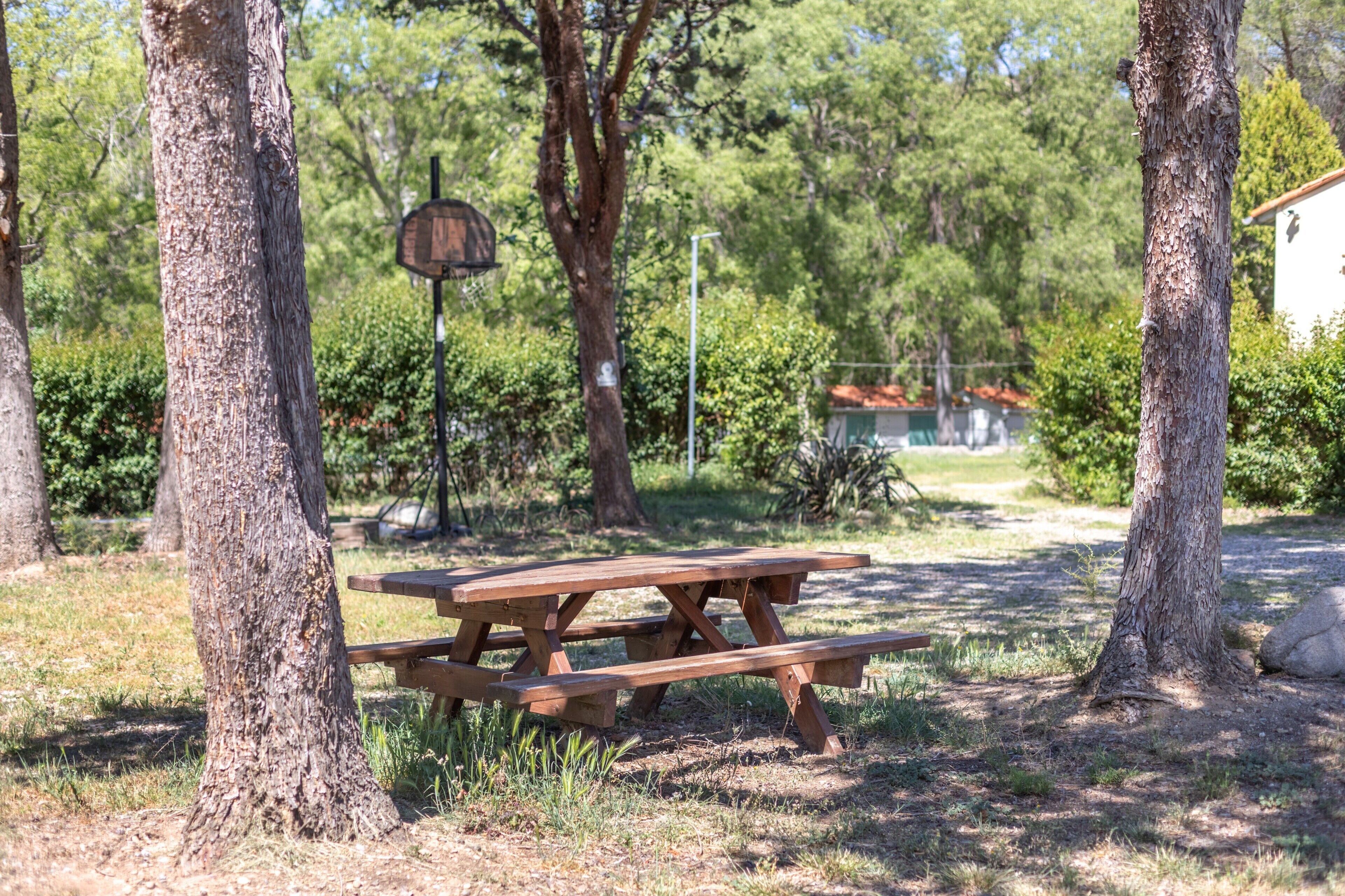 A picnic table in a wooded area with trees and a basketball hoop.