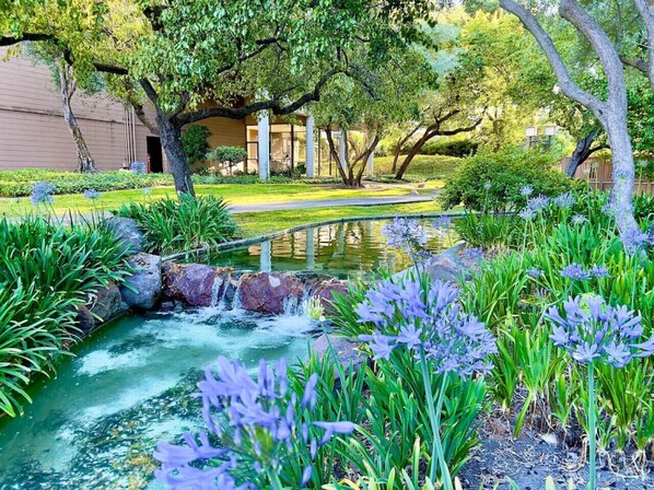 Overnattingsstedets uteområder