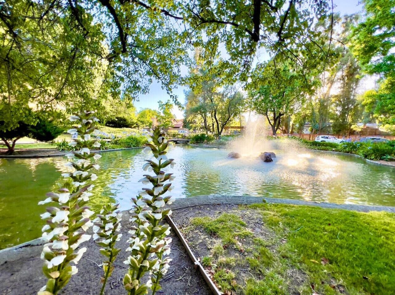 Jardines del alojamiento