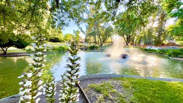 Terrein van de accommodatie