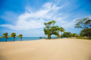 Serviettes de plage