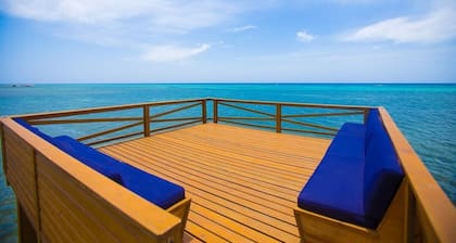Elegant Guest house walking distance to beach, pool, snorkeling, kayak and more.