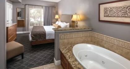 1BDRM + 1 Sleep Sofa, sleeps 4-Shuttle to Bottle Rock only 5 minutes Away!