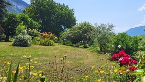 Un exuberante jardín con diversas plantas y flores, un sendero cubierto de césped y una montaña al fondo.