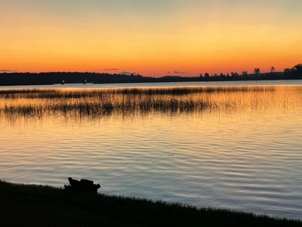Toallas, papel higiénico