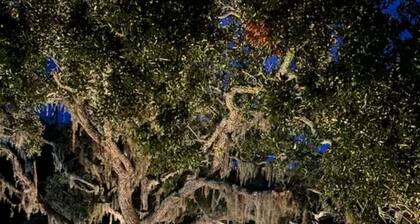 Luxury waterfront home and event space minutes from Savannah & Tybee beaches.