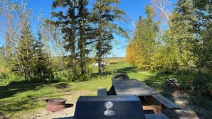 A portable grill with a digital display, located in a grassy outdoor area with trees and a picnic table.